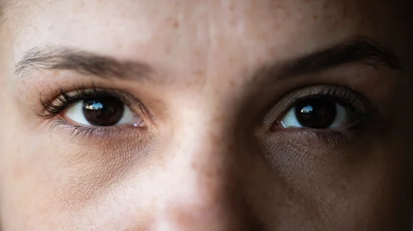 eyes looking in the camera