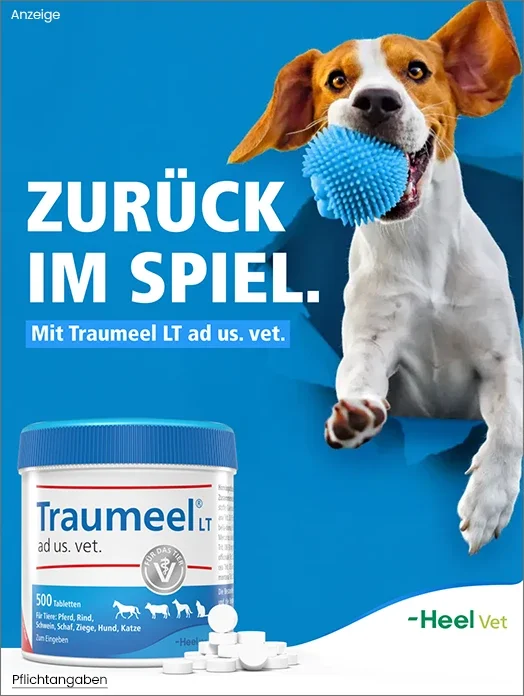 Bannerbild