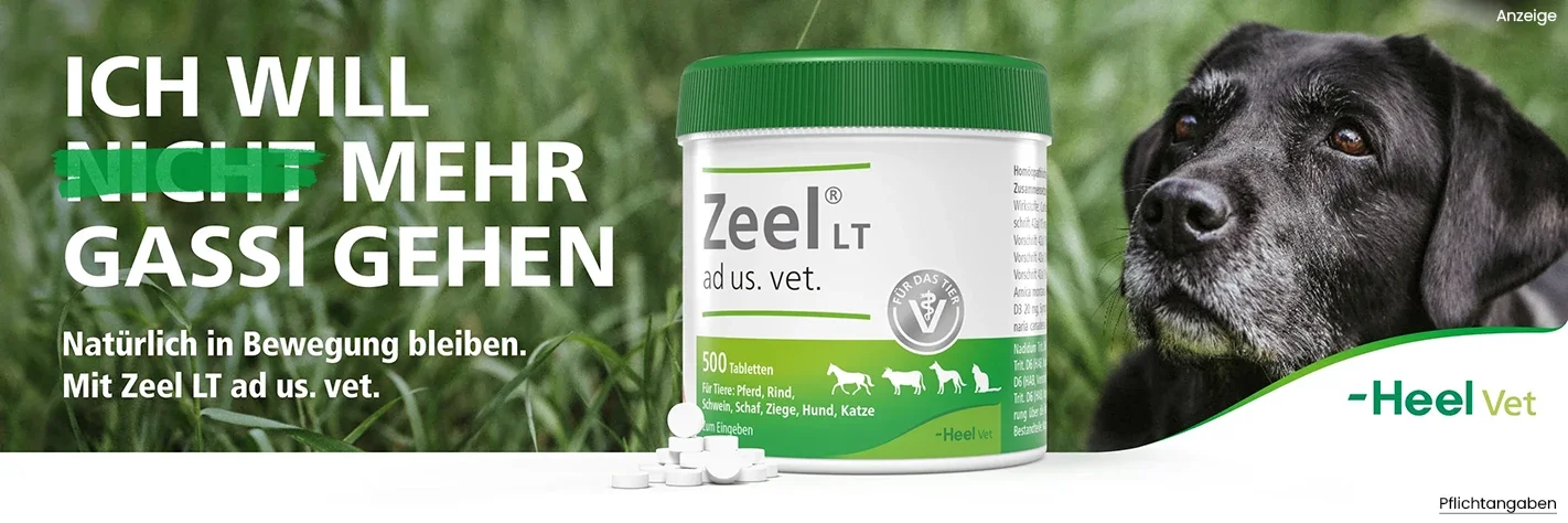 Zeel® LT ad us. vet. Tabletten