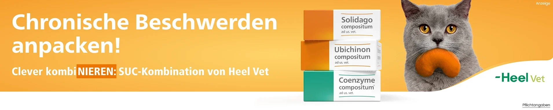 Solidago+ Ubichinon+ Coenzyme ad us vet