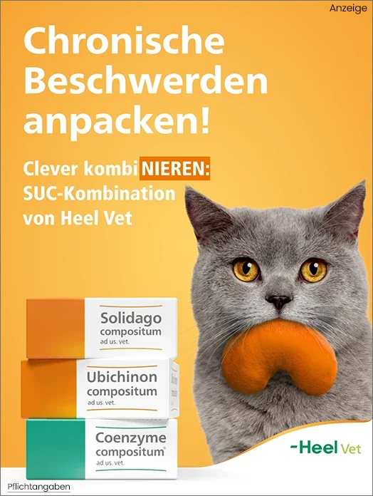 Bannerbild