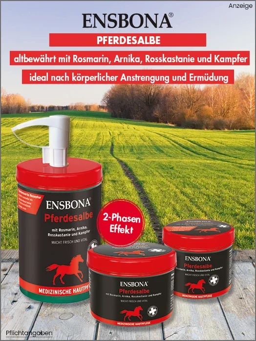 Bannerbild