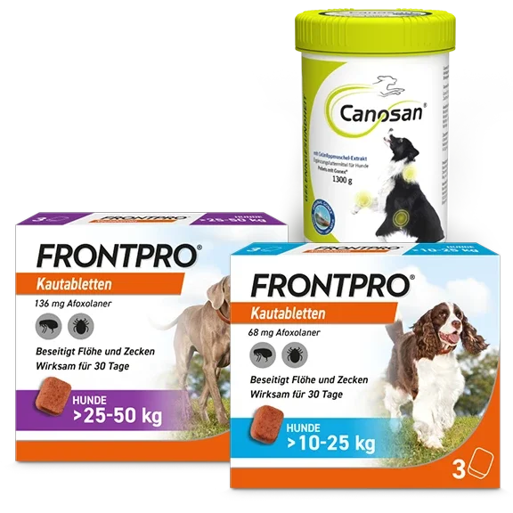 Mobile Frontpro & Canosan bei DocMorris kaufen