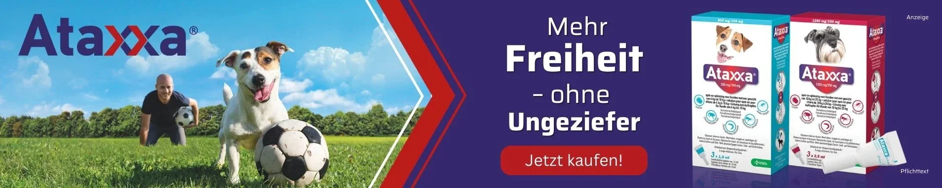 Ataxxa Produkte
