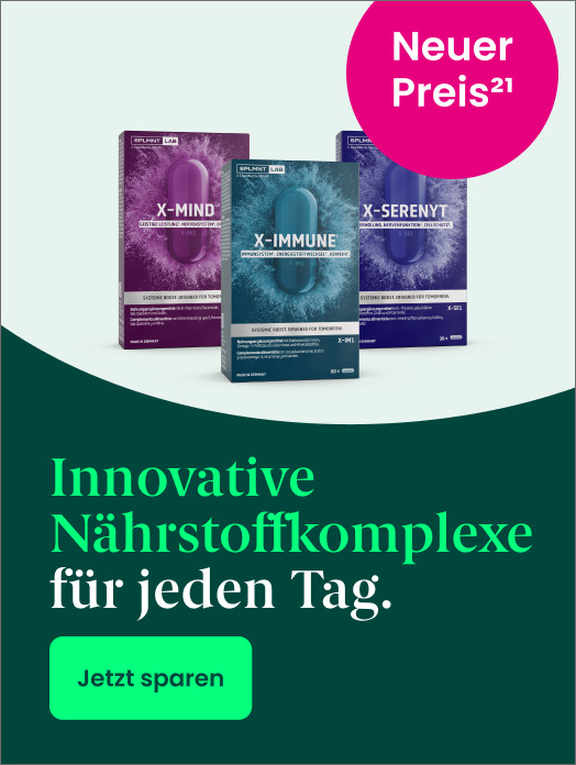 Bannerbild