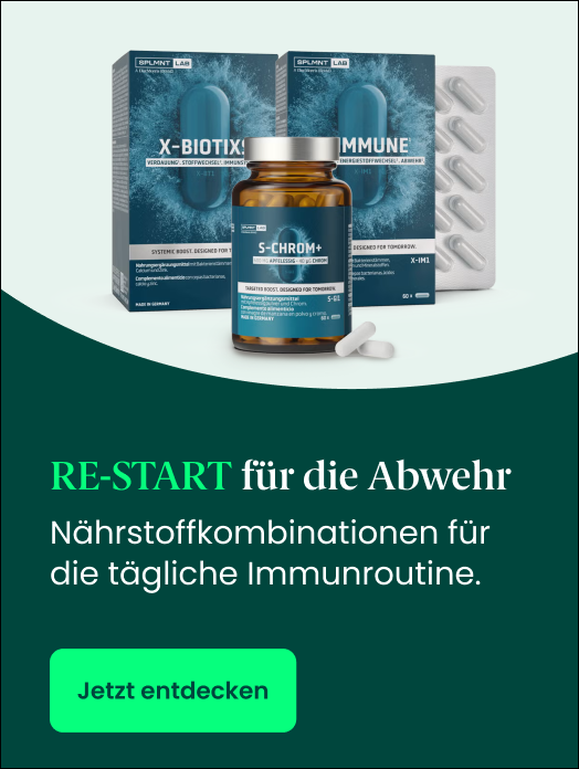 Bannerbild