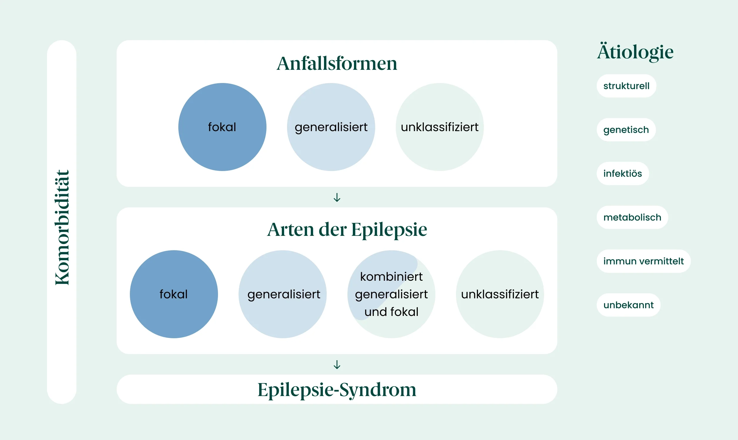 Grafik zu Epilepsie Schema