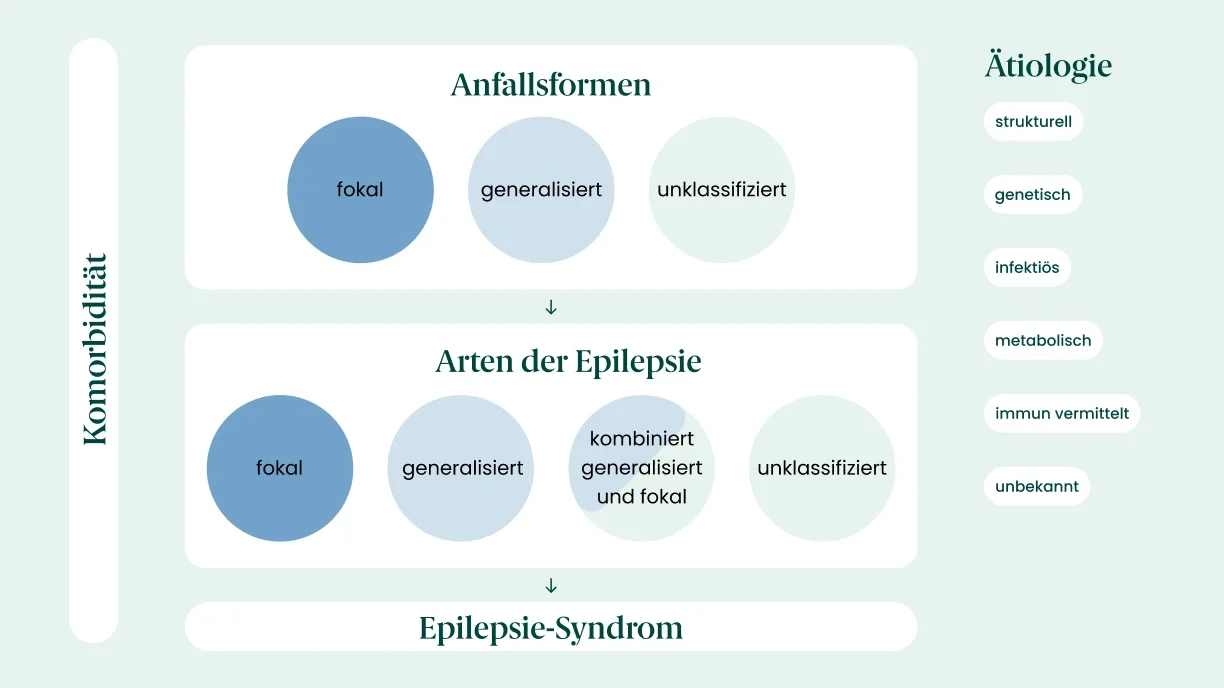 Grafik zu Epilepsie Schema