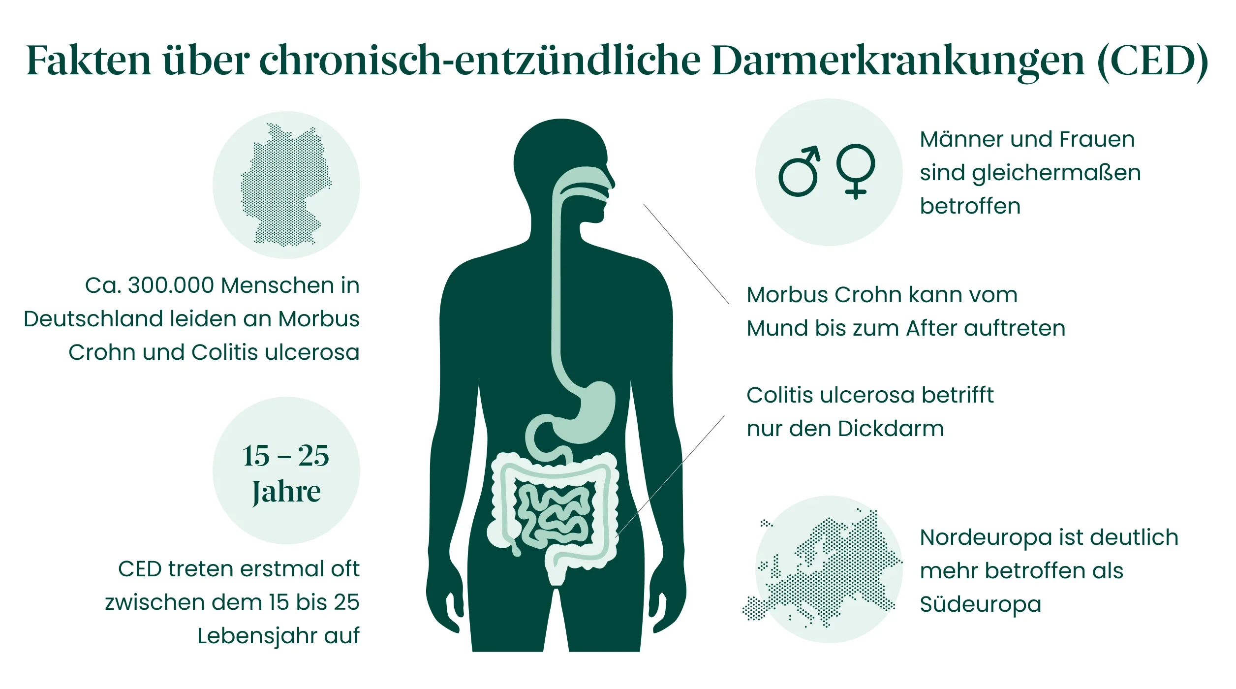 Colitis ulcerosa  Ursachen, Symptome und moderne Therapie | DocMorris