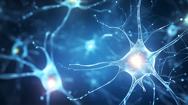 Neurologische Erkrankungen