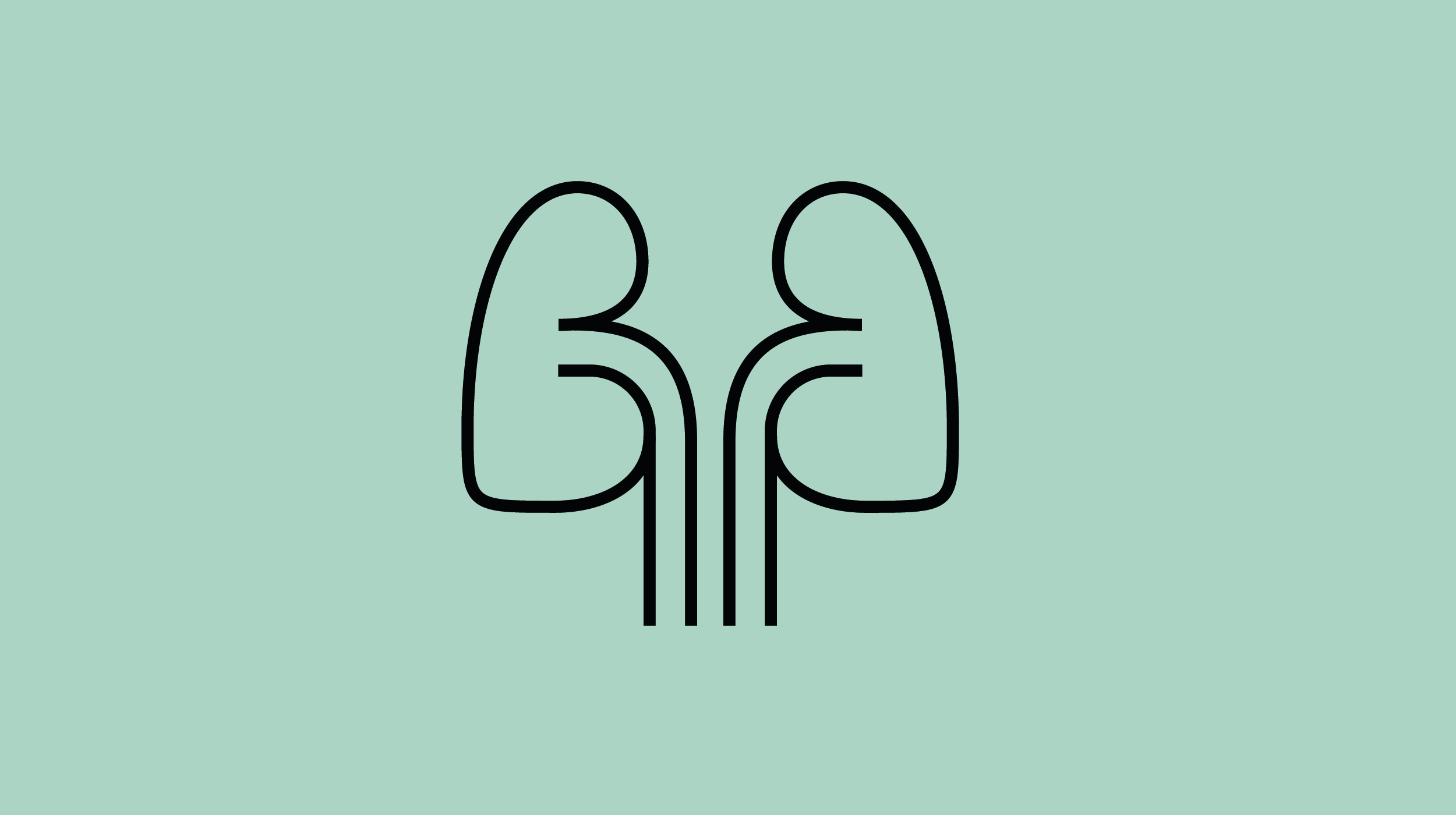 Nieren Icon