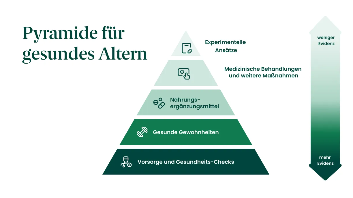 Pyramide für gesundes Altern