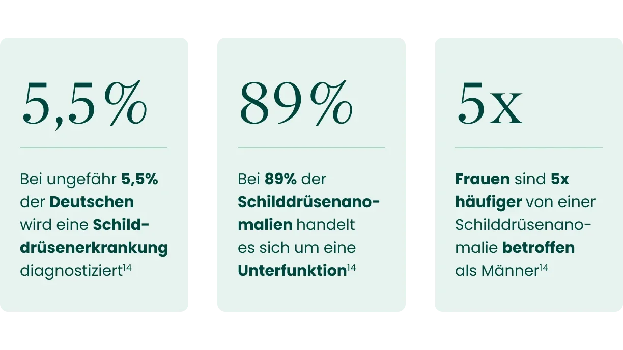 Schilddrüse Zahlen und Fakten