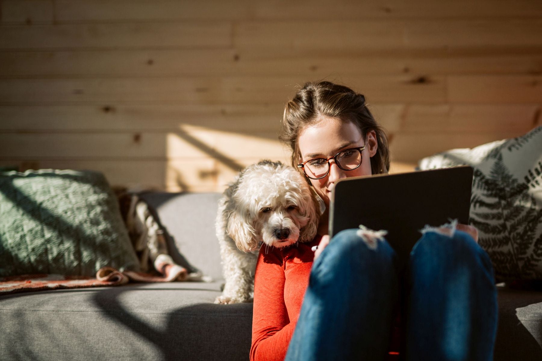 Frauchen und Hund suchen Produkte für die Haustierapotheke