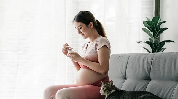 Schwangere sitzt mit Katze auf dem Sofa und isst