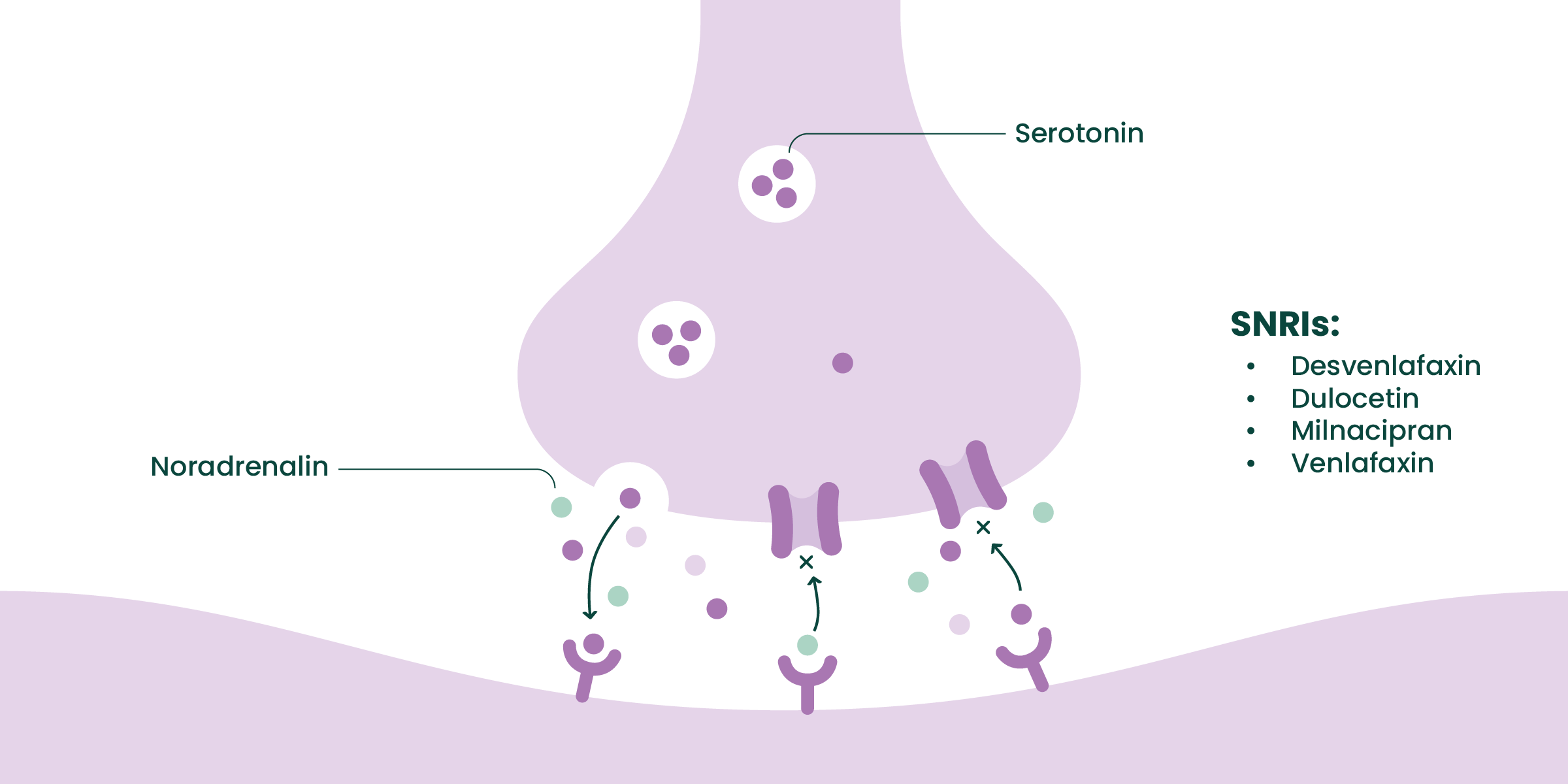 Venlafaxin