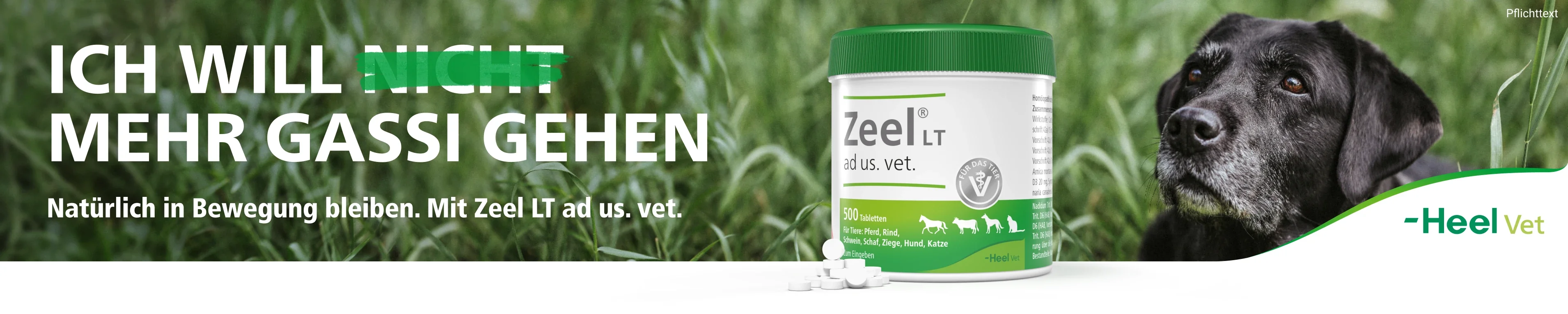 Zeel bei DocMorris kaufen