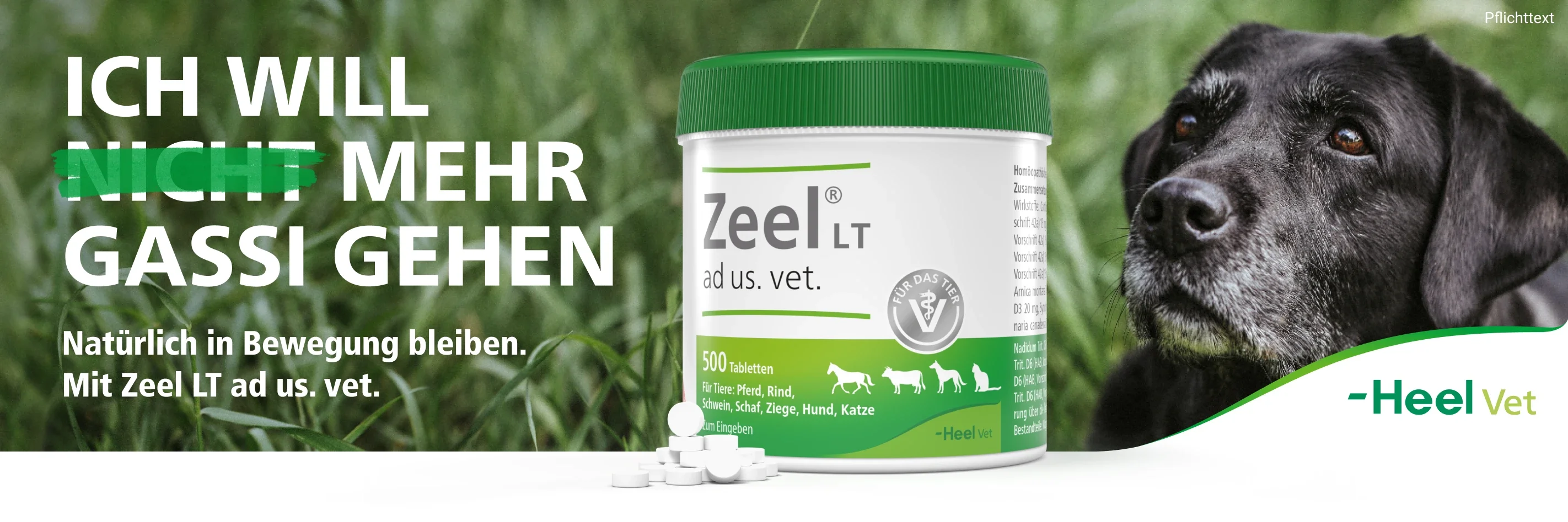 Zeel bei DocMorris kaufen