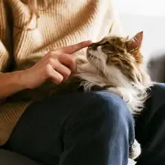 Kategorie Tiergesundheit bei medpex