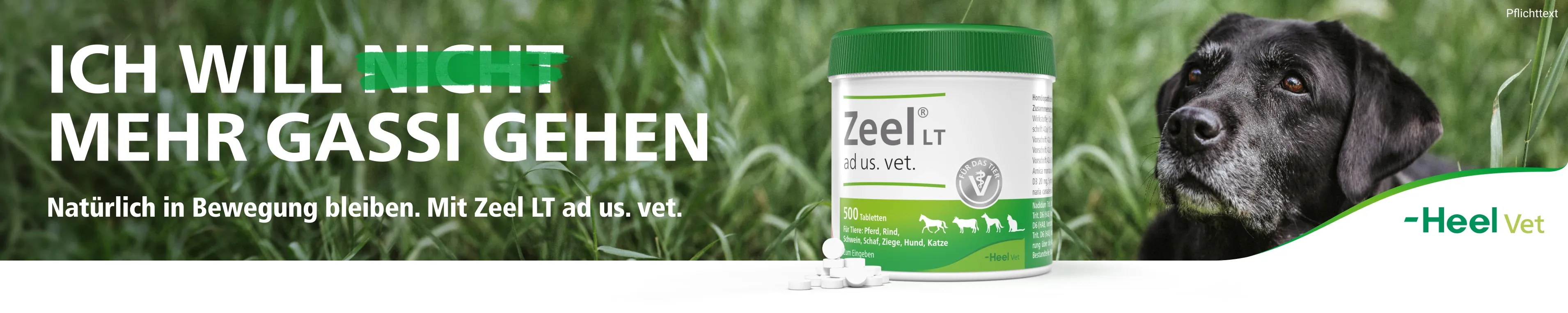 Zeel bei medpex kaufen