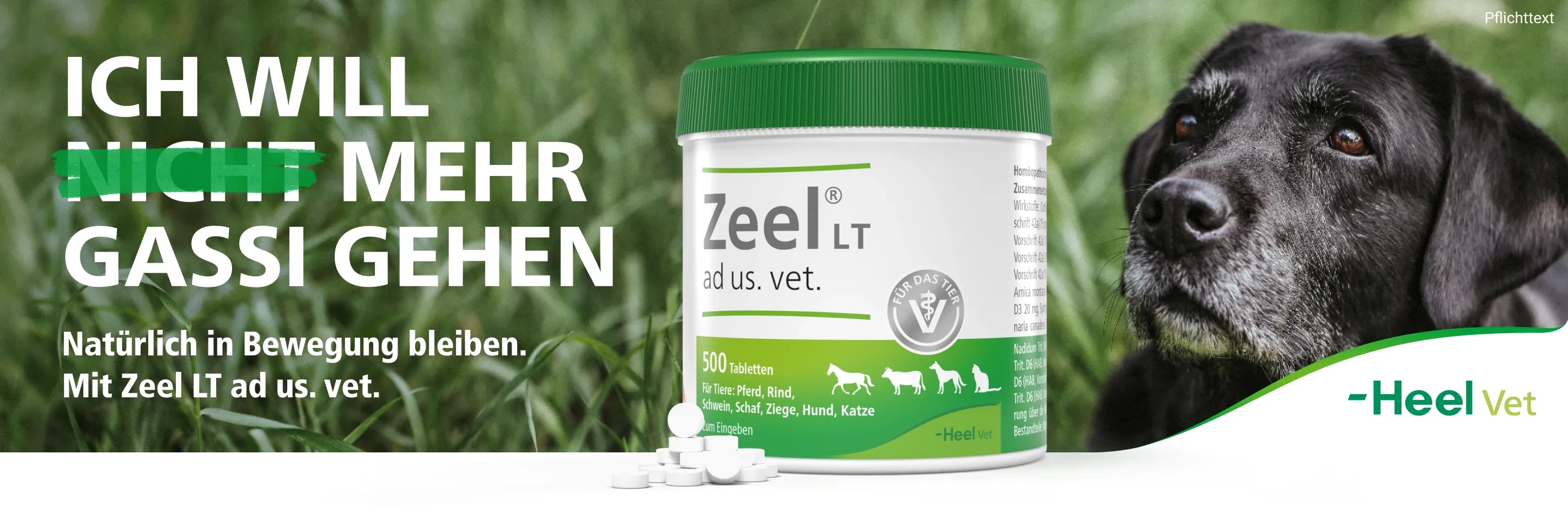 Zeel bei medpex kaufen