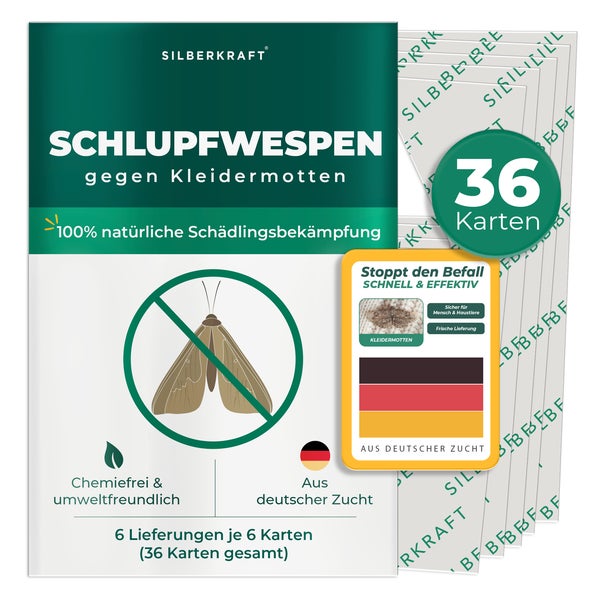 Silberkraft Schlupfwespen gegen Kleidermotten 6 x 6 Karten 36 St