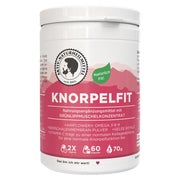 Aktiv Naturheilmittel Knorpelfit 60 St