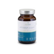 Vitalsee ARTEMISIA vulgaris 300 90 St
