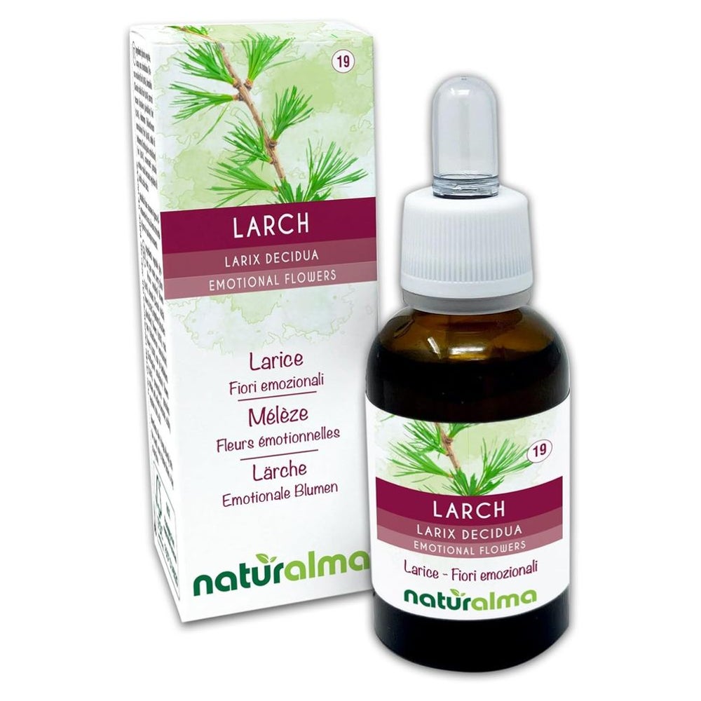 Naturalma Lärche Larix decidua Tropfen 30 ml