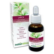 Naturalma Lärche Larix decidua Tropfen 30 ml
