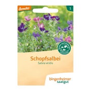 Bingenheimer Saatgut - Schopfsalbei