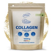 Kollagen Pulver Typ I, II & III 1 kg - Wehle 1000 g