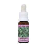 PHI Essences – Scleranthus Bachblüte Nr. 28 - 1 St