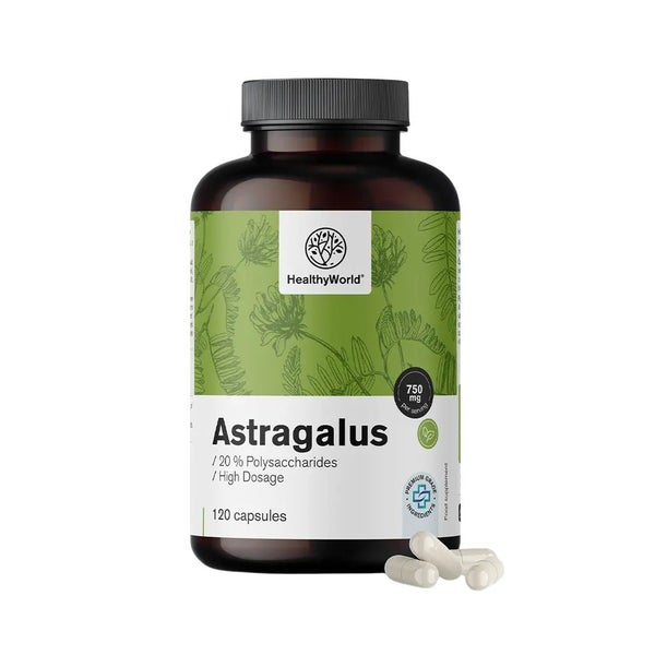 HealthyWorld Astragalus – Extrakt 90 St