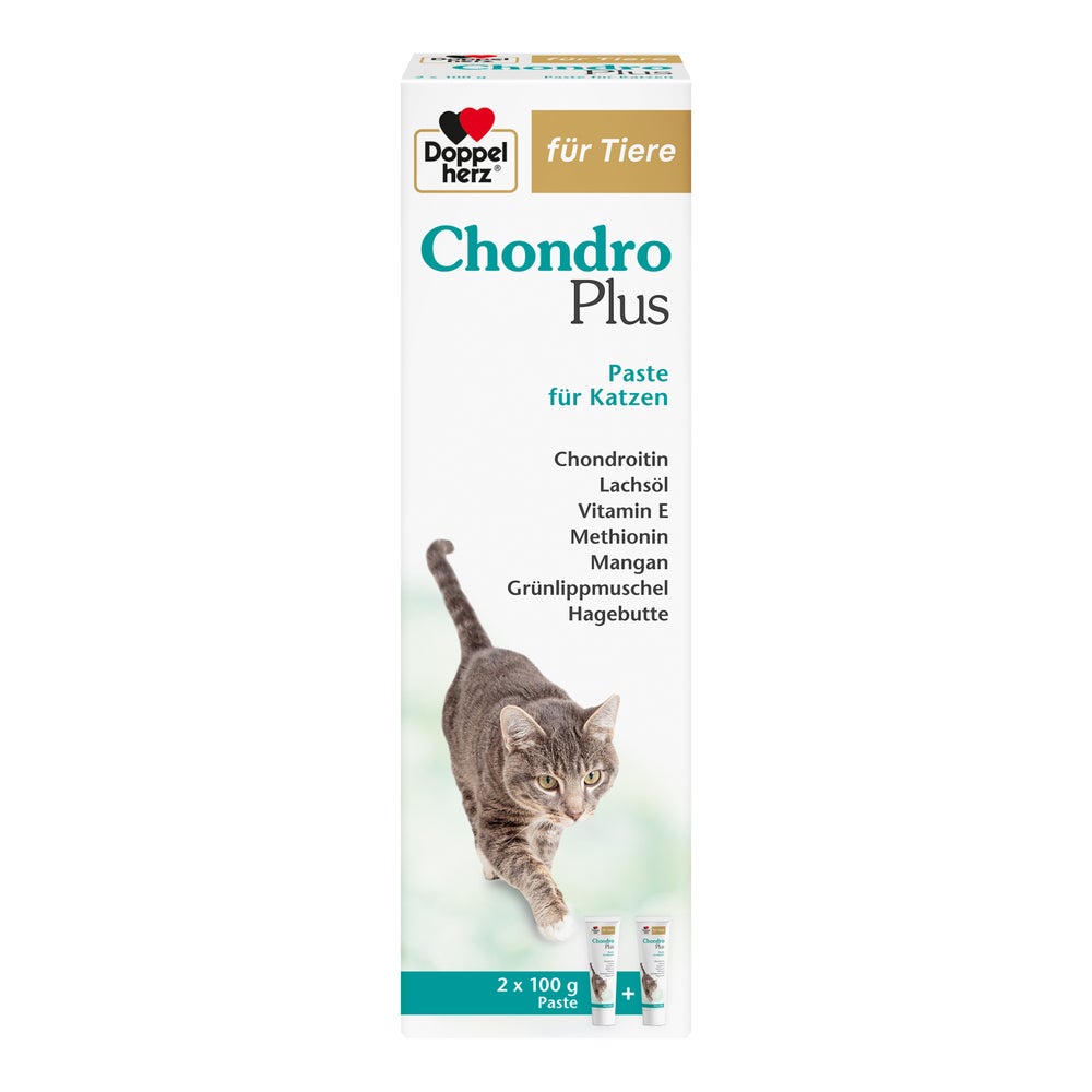 Doppelherz Für Tiere Chondro Plus Paste F.katzen 2X100 g