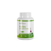 VitaSanum® - Kudzu (Pueraria lobata) 500 mg 60 Stück 60 St
