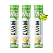 EVÄM Magnesium 375 mg Brausetabletten Zitrone 3er Pack 60 St