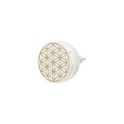 Aroma Duftstecker Easy 1 St