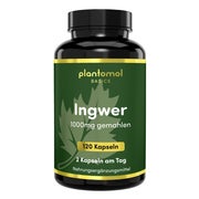 plantomol® - Ingwer-Kapseln mit 1000mg gemahlenem Ingwer