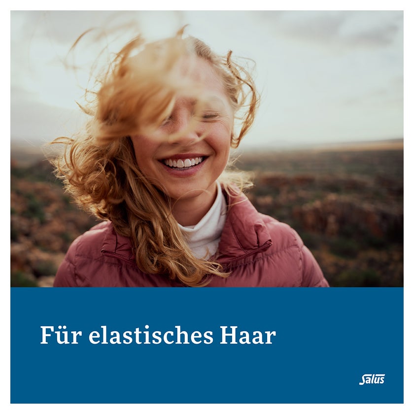 Kieselerde Klassik Tabletten Salus 120 St