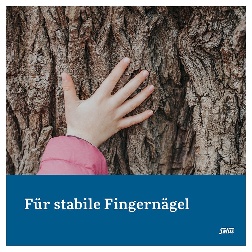 Kieselerde Klassik Tabletten Salus 120 St