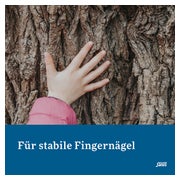 Kieselerde Klassik Tabletten Salus 120 St