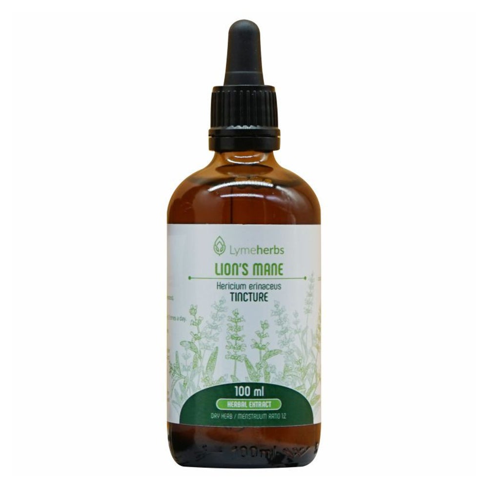 Igel-Stachelbart (lion 's mane), Tinktur 1: 2 (100 ml) 100 ml