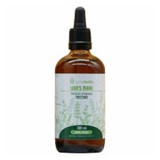 Produktabbildung: Igel-Stachelbart (lion 's mane), Tinktur 1: 2 (100 ml) 100 ml