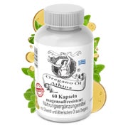 Produktabbildung: Athina® Oregano Öl Vegan Bio magensaftresistent 1 x 60 Kapseln I 100 mg Athina® Wildes Berg Oregano Öl I Origanum vulgare hirtum aus Griechenland I 80% Carvacrol I Reine & natürliche Zutaten 60 St