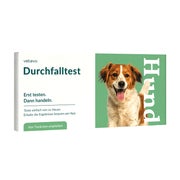 Durchfalltest Hund 1 St