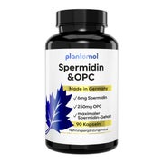 plantomol® Spermidin OPC - 6mg Spermidin Kapseln & 250mg OPC