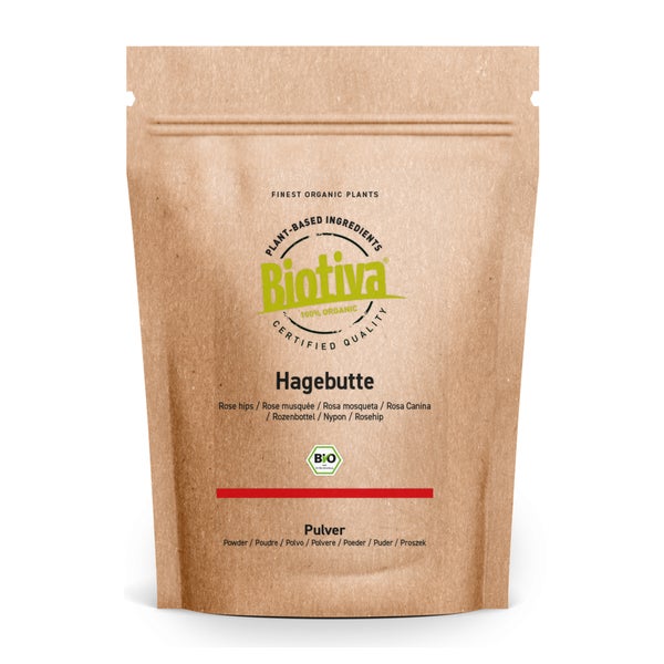 Biotiva Hagebutten Pulver Bio 3000 g