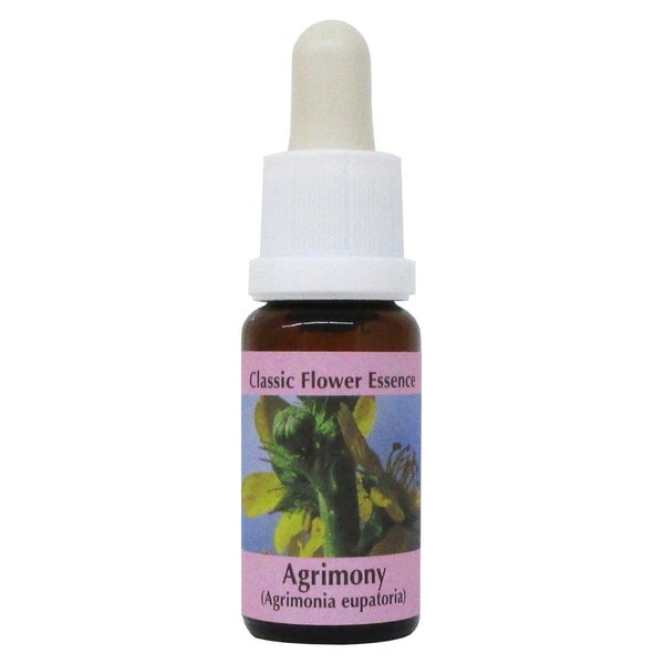 PHI Essences - Agrimony Bachblüte Nr. 1 - 1 St