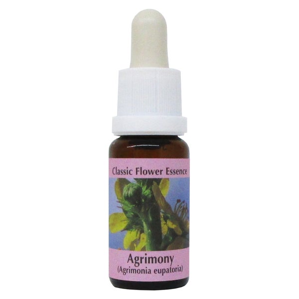 PHI Essences - Agrimony Bachblüte Nr. 1 - 1 St